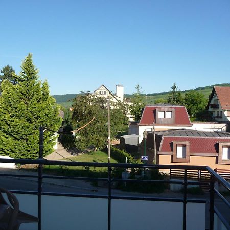 Le Parc Du Marlenberg Leilighet Marlenheim Eksteriør bilde